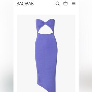 Baobab Collection Strapless Purple Dress